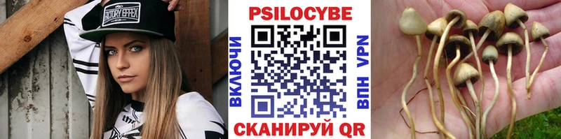 где найти   ссылка на мегу зеркало  Псилоцибиновые грибы GOLDEN TEACHER  Полысаево 